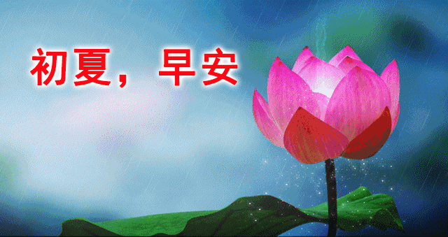 早上好问候祝福带字图片早安励志哲理祝福语