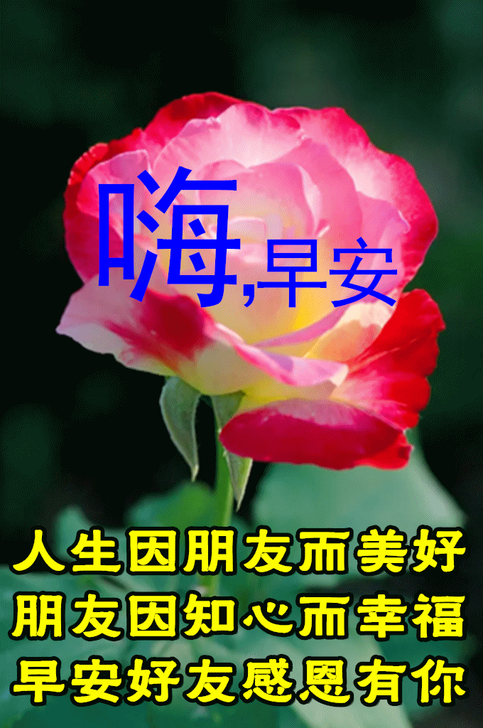 5月29日最漂亮早上好动态表情图片大全早晨好动图美图大全