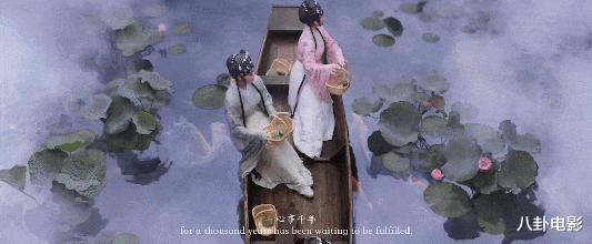 求电影院多给点排片白蛇传情评分高达81画面美到心悸