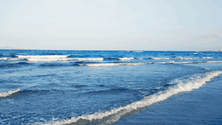 454_255gif 动态图 动图