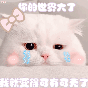 提示如何快速添加表情表情群▲点击获取更多有趣表情包素材源于网络