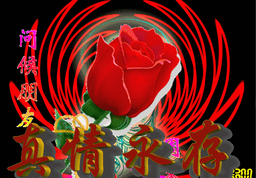 5月29日每日一条问候语