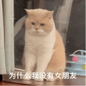 检查出来了 你确实是神经病