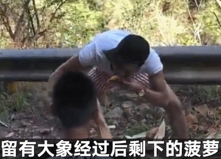 除了泡泡龙这种形式的,像韩安冉小猪这种靠孩子博关注的,在网红圈也是