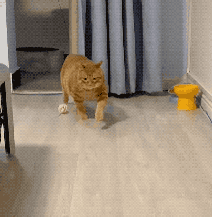 720_736gif 动态图 动图