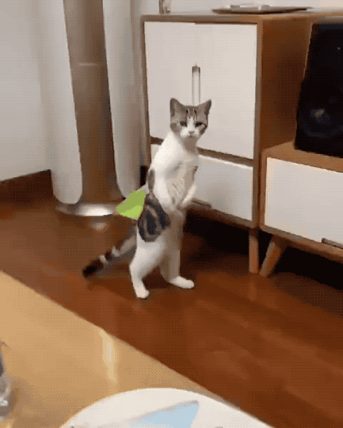 说到底,人家才是真正的两脚兽啊!