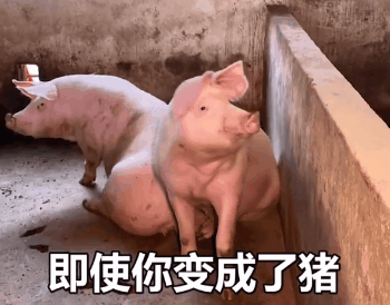 今天发的是36个抖音超火表情包耶