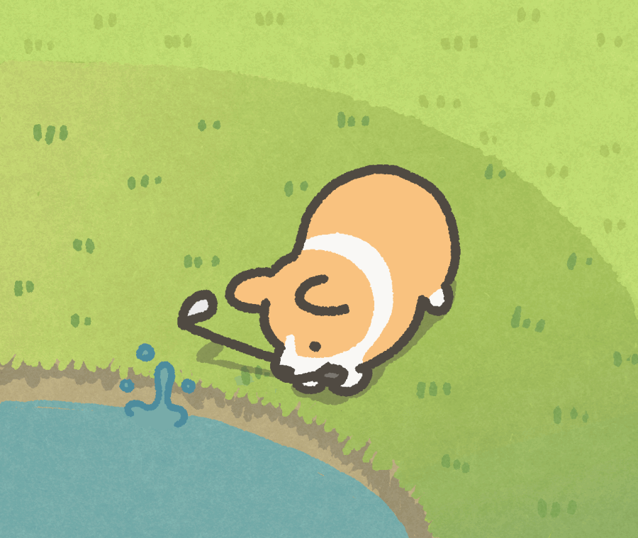 表情包丨圆滚滚的小柯基啊啊啊好可爱