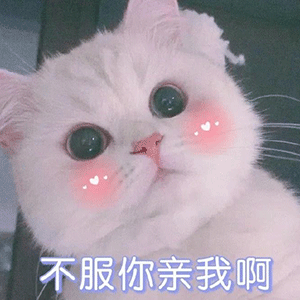 沙雕表情包就知道气你老婆我