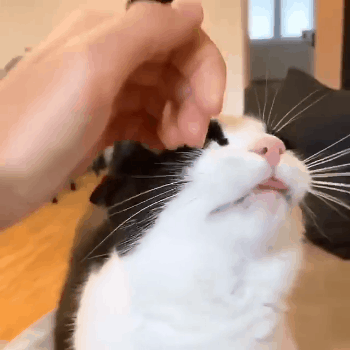 这味儿太上头了,跟吸猫薄荷的感觉差不多.