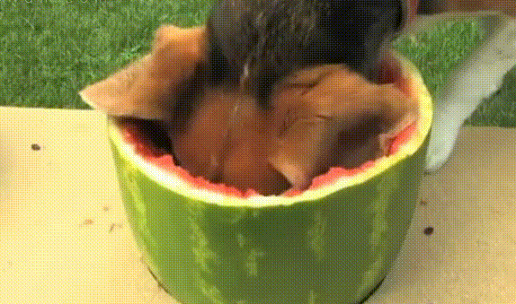 574_339gif 动态图 动图