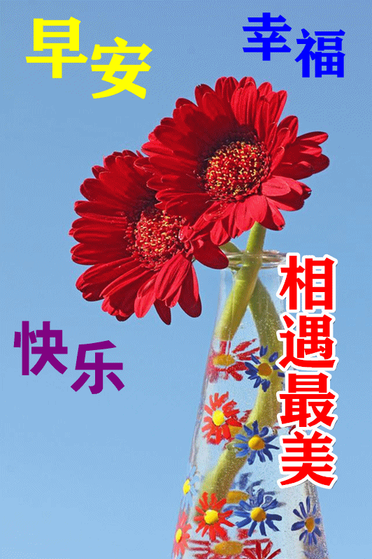 8张最新特漂亮早上好鲜花图片带字带祝福语 最美秋日