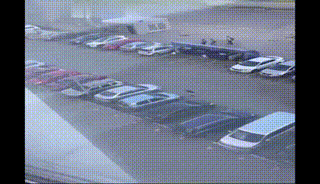 搞笑gif,交警被老汉碰瓷,高空拖行女友,那些你没见过的名场