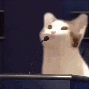 gif在这啊~请给我一口饭烦死了 呜呜呜,到底要多久不洗澡才能成为你的