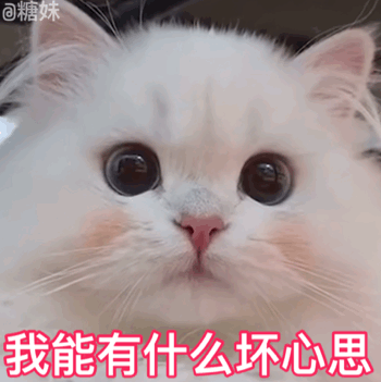 表情包|date21/10/28