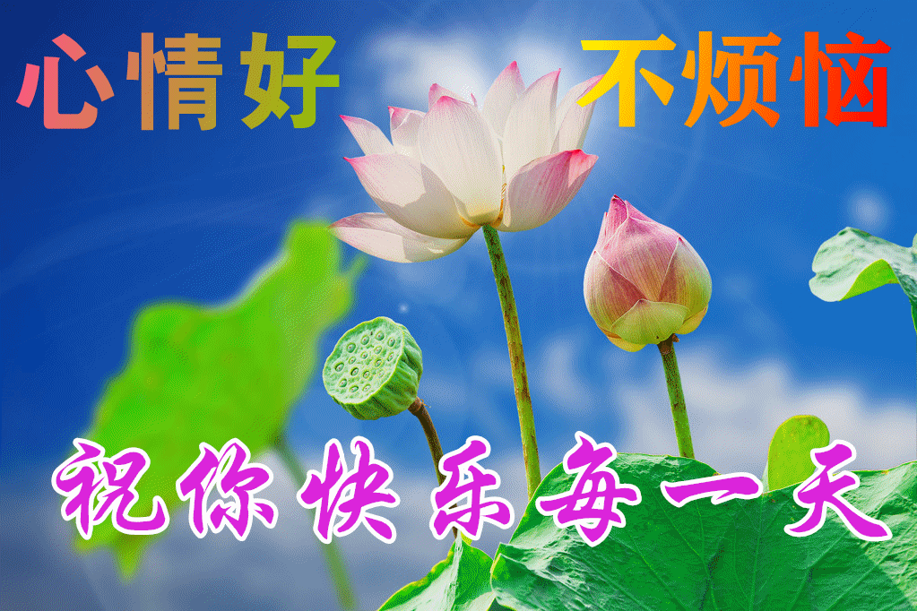 6月26日清晨阳光暖心早安问候语录,早上好图片祝福动态表情