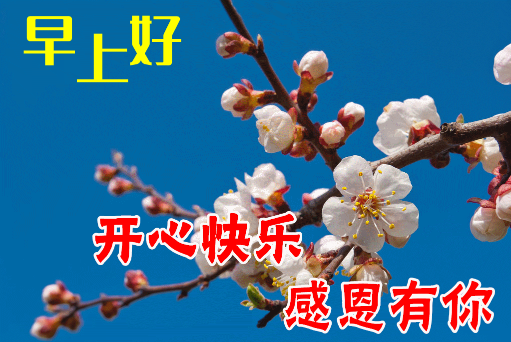 6月26日清晨阳光暖心早安问候语录,早上好图片祝福动态表情