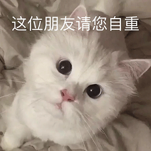 奇奇怪怪的表情包增加了这位朋友请您自重