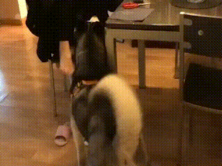 两个漂亮小姐姐为了争夺我的侍寝权大打出手这太刺激了吧哈哈哈