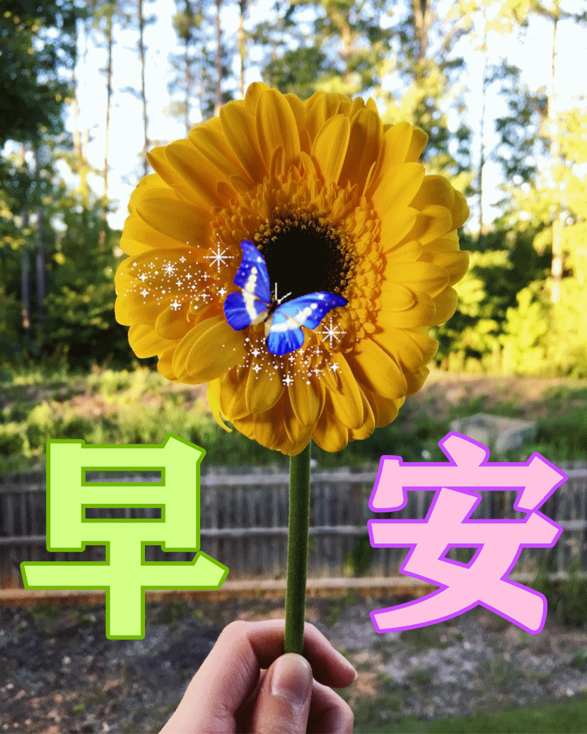 周三2021特漂亮的早安问候图片带字2021最新早上好动态图片大全