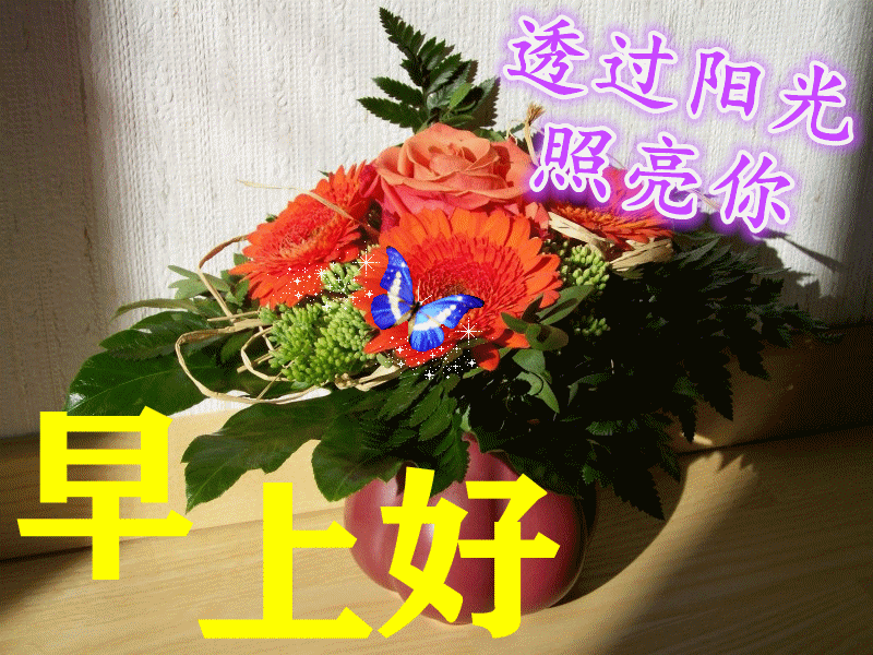 周三2021特漂亮的早安问候图片带字2021最新早上好动态图片大全