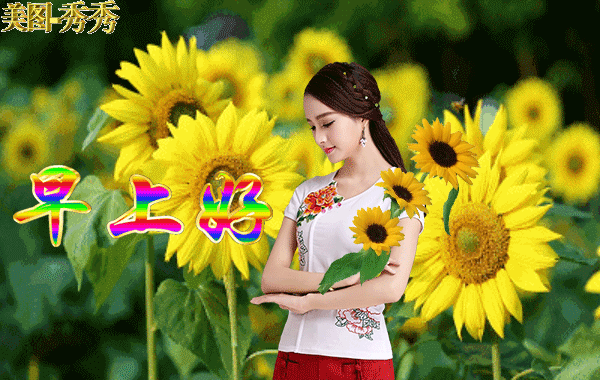 创意好看的早上好免打字图片带祝福语早上好问候语图片带字温馨