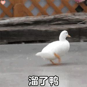 沙雕可爱表情包双马尾的快乐