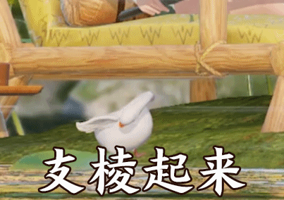 看了这些表情包,激发了刀娘的斗图欲望,可有少侠出来一战?