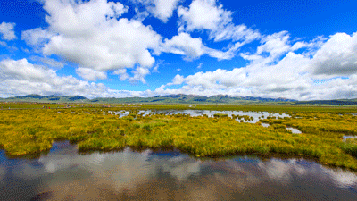 国庆倒计时这个私藏在成都隔壁的人间仙境可以安排了