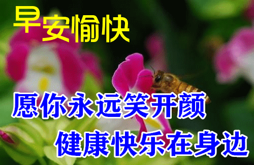 轻轻的,我呼唤你的名字,起床吧,新的一天开始了,亲爱的,早安!