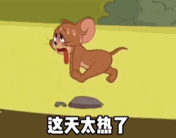 给你看个宝贝
