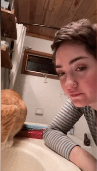 铲屎官们作屎测试冲着猫咪张开嘴巴猫会作何反应