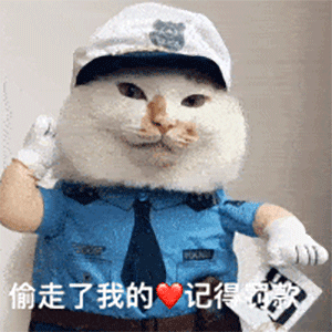 聊天斗图必备表情包群聊里你是最靓的仔