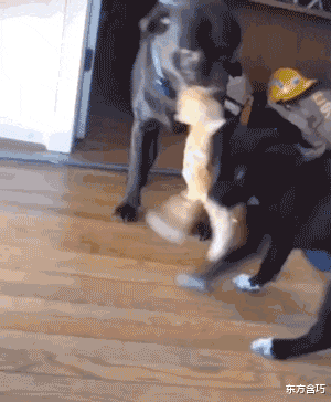 合租的妹子整天霸占我的床,这咋整