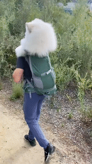 不都说女儿是爸爸的小棉袄吗