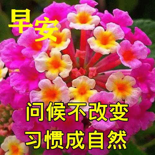 8月8日最新早上好动态表情图片大全,初秋问候语句子!