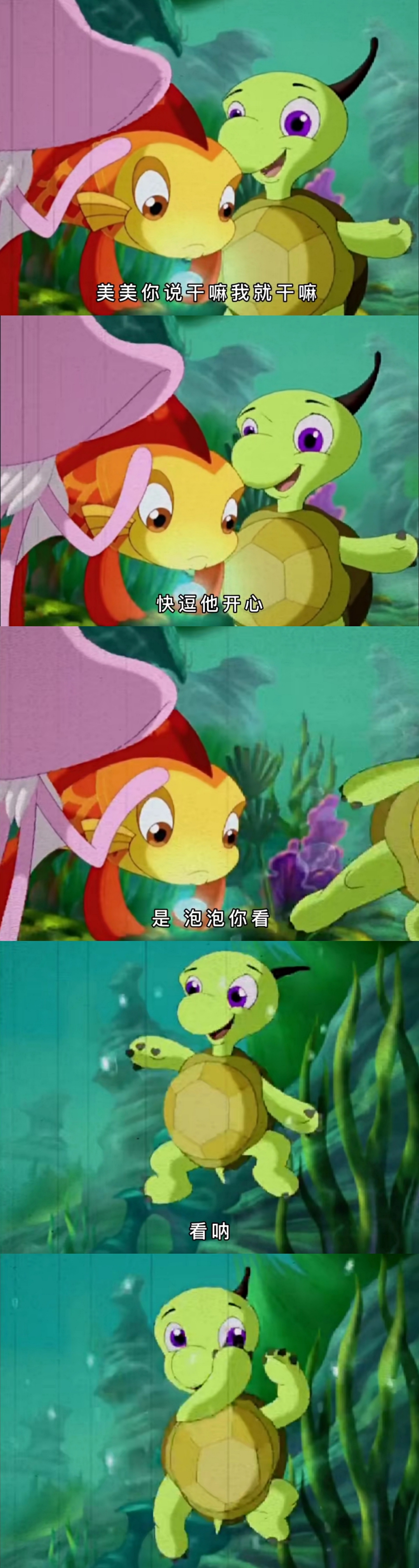 不过双面龟虽生性胆小懦弱,但是为喜欢的人可以奋不顾身.