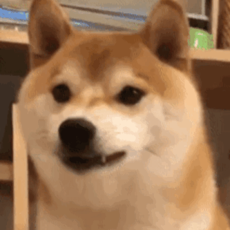 想要卡姿兰大眼睛眼袋泪沟必须去除