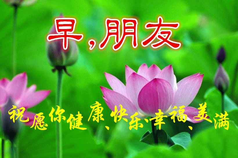 7月2日清晨阳光暖心早安问候语录,早上好图片祝福动态