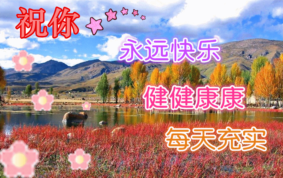 7月2日清晨阳光暖心早安问候语录,早上好图片祝福动态