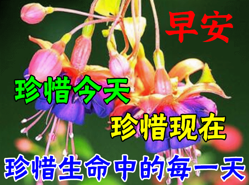 朋友圈最新清晨祝福大家的早安句子,早上好动态祝福表情图片