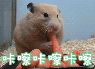 ennnnnnnn看完这些,小兔第一个想到的就是腮帮子鼓鼓的小仓鼠.