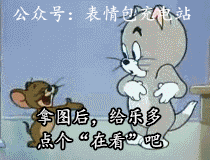 聊天必备表情包383|可爱搞怪沙雕表情包