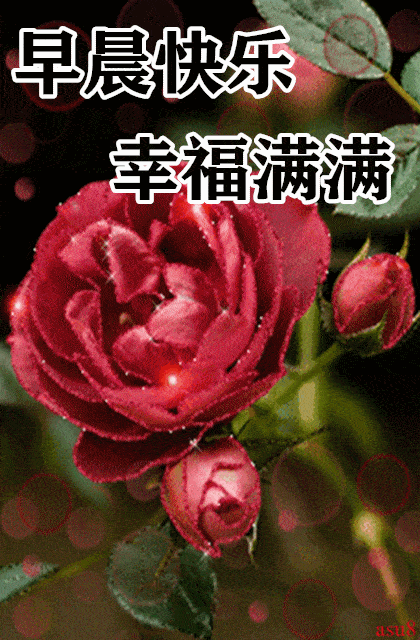 早上好漂亮表情问候祝福图片带字最新早上好微信祝福语