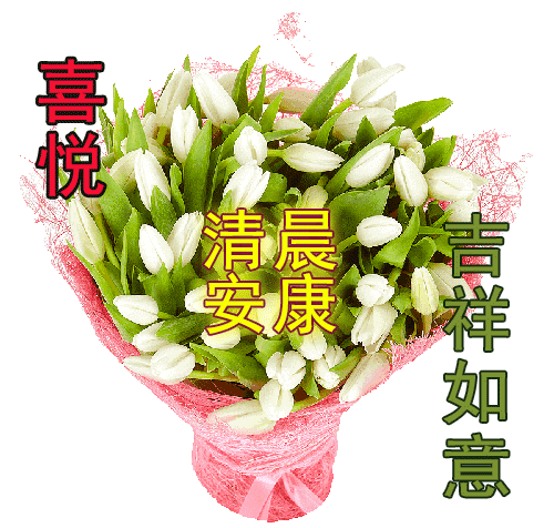 2021年早安祝福语鲜花图片唯美带字,最美早安阳光问候