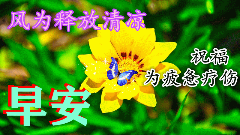 清爽早上好最新图片早安早上好图片带祝福语夏天早上好表情包动图