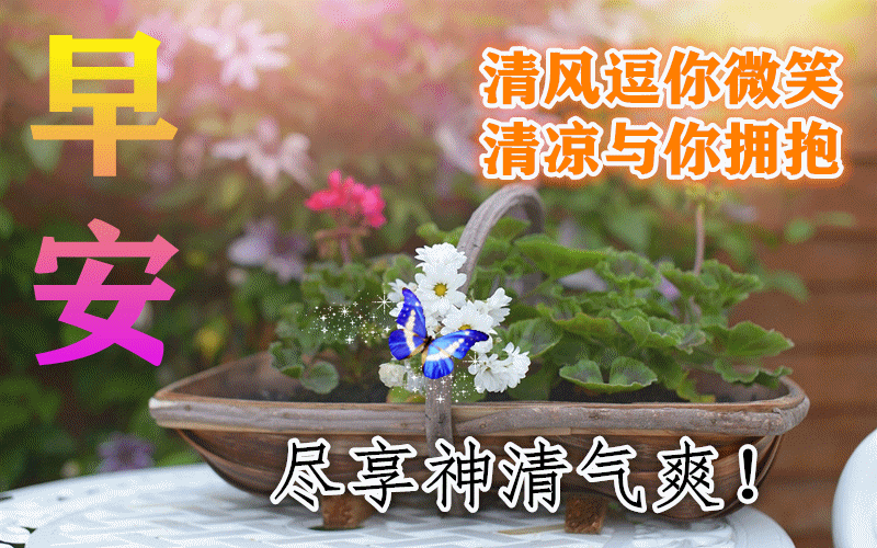 清爽早上好最新图片早安早上好图片带祝福语夏天早上好表情包动图