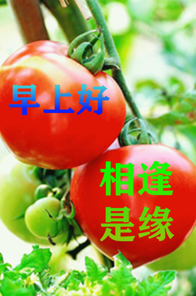 最漂亮早上好动态表情图片大全早晨好动图美图大全