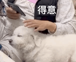 302_246gif 动态图 动图