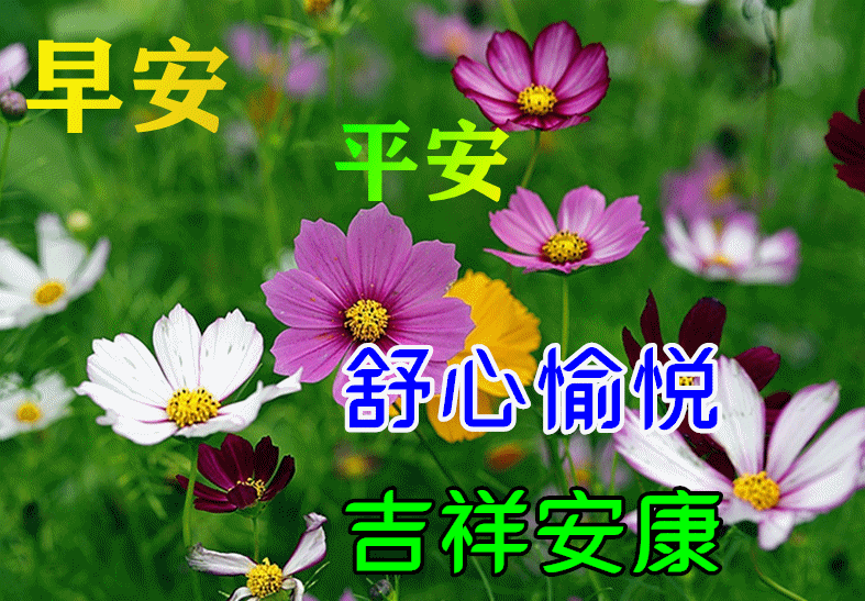 早上好表情问候语每日分享早上好问候语,早安问候语,正能